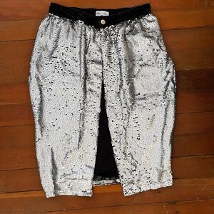 Zara Sequin Skirt